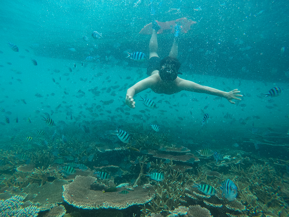 Kegiatan Snorkeling dan Diving yang Sangat Populer di Belitung
