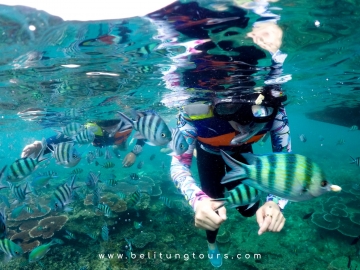 Tips Travel Belitung, Tour Belitung Untuk Pelancong